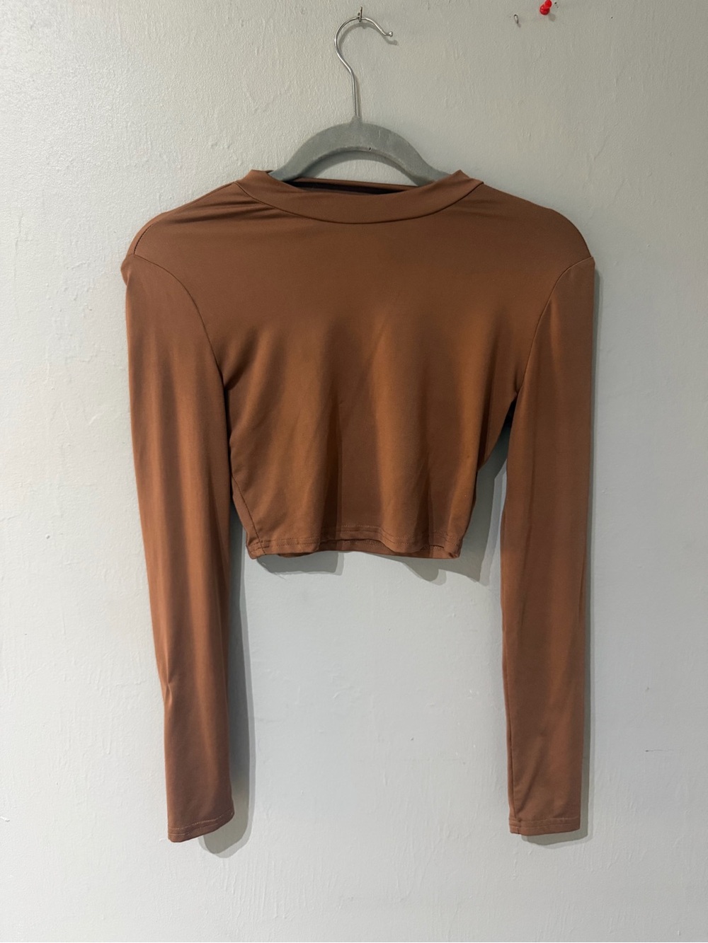 Crop Long-Sleeve Top in Brown - Women